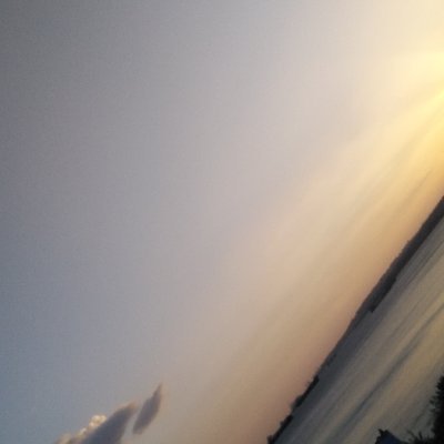 AyseglAyyldz's profile picture. 