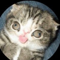 Irrelevant (@justanotherssn) 's Twitter Profile