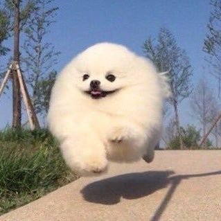 7Ybs6Bv2WcCytpa's profile picture. 