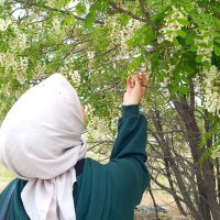 Yaren Tamer (@_yaren_tamer) 's Twitter Profile