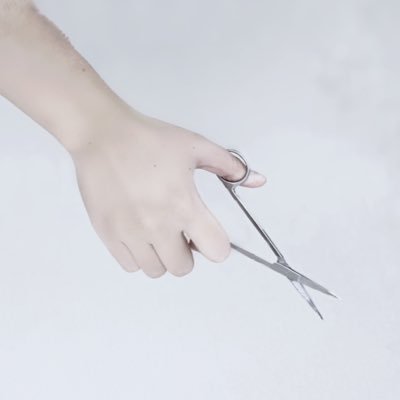 Ibuki_pcaxx's profile picture. 切り絵/水彩/スケッチ 知的なし自閉症＆双極性障害 知覚激凸・処理激凹特性を活かした制作。夫と沢山の生き物と暮らしながらしています。動植物と地学が好き。 🥔→https://t.co/rFtoZgosvO