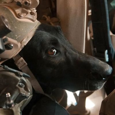 TimeToThink2_0's profile picture. Time to think.