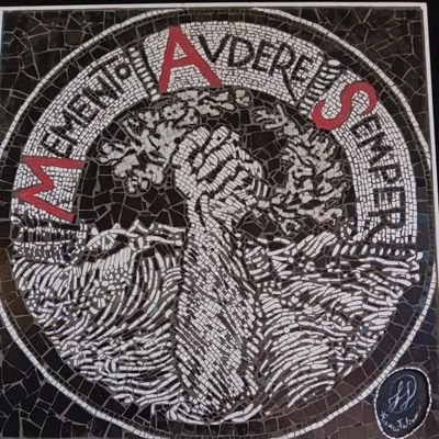 _d0men1c0_'s profile picture. Memento Audere Semper 🇮🇹 💀🌹