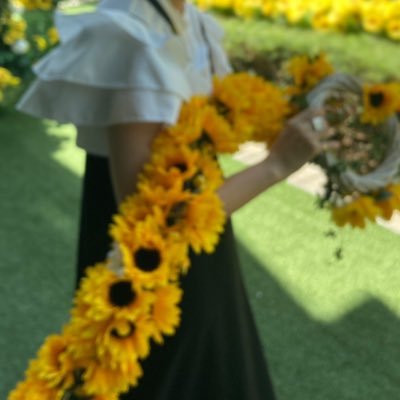 吉田さんのプロフィール画像