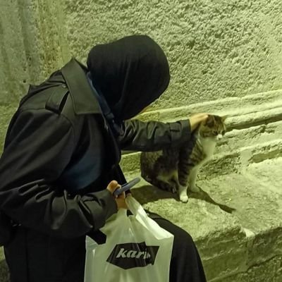 iü