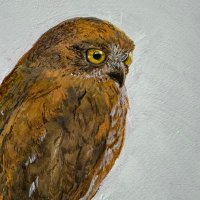 動物の人 (@koyama_simple) Twitter profile photo