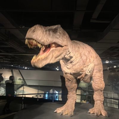 li78777's profile picture. 