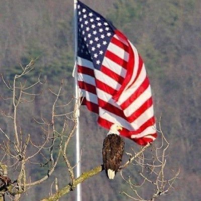 I love Jesus😇I love my family. ♥️☺️Proud mom of 2. I love my Veteran husband♥️ and I ♥️🇺🇸 my country. MAGA BABY💯🇺🇸♥️🔥 No DMs or I will block.