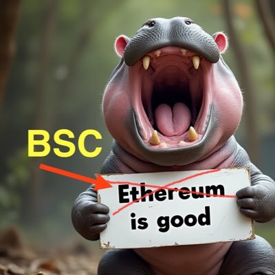 moodengai1's profile picture. #MoodengAi Round, tight, smart, change the signal in the world