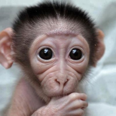 PureLuckMf's profile picture. 