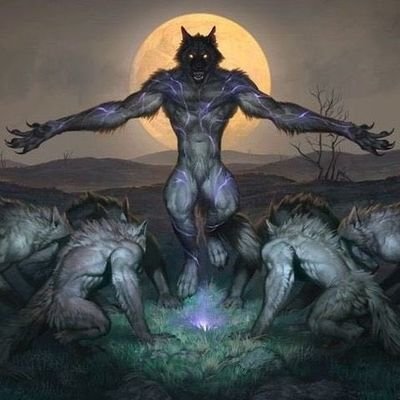 yoou8181's profile picture. 