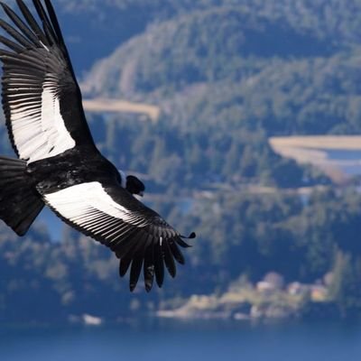 johnmag27041027's profile picture. Interests include movies,  wildlife, classic  cars,  in particular American muscle cars,listening to a wide range  of  music.