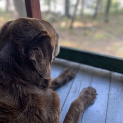 PollyAnnn's profile picture. Always the optimist Pilates lover