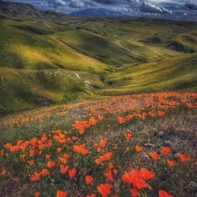 Marilyn02811620's profile picture. 