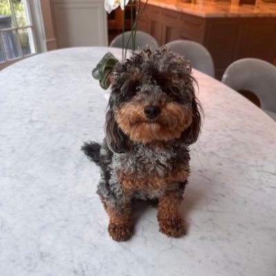 miller_bob96129's profile picture. Credit trader at Verition Fund Management.