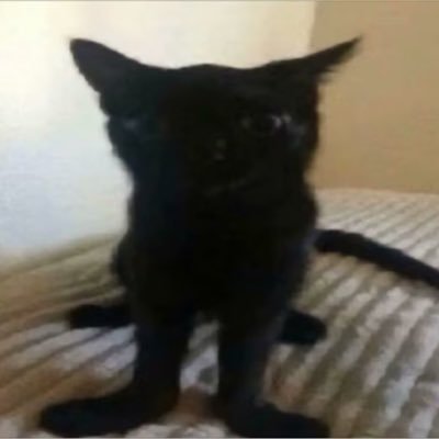 MieNai咩さんのプロフィール画像