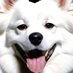 uve (@uve705) Twitter profile photo uve (@uve705) Twitter profile photo