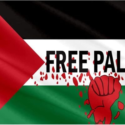 khantabassum0's profile picture. Hyderabadi ➡️ Mumbai Chatterbox   No filter, just truth | Biryani ambassador 🍛  Allah believer ☪️ | 🇵🇸🇮🇳 Supporter  Proud Muslim, Nation first  🇮🇳