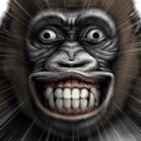 ゴリラビート (@uhouhokyun) 's Twitter Profile Photo ゴリラビート (@uhouhokyun) 's Twitter Profile Photo