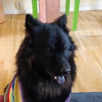 PungStorm (@hagerstran23638) 's Twitter Profile