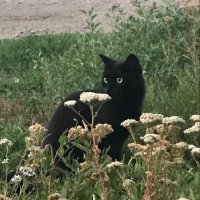 πββ¬ (@zxnxn_yx) 's Twitter Profile