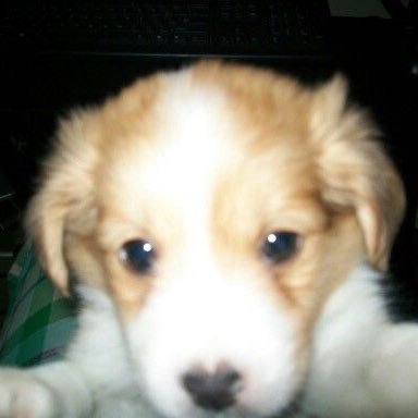 droptoma's profile picture. 스키삐 .... 💕💕😁