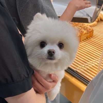 willieverknowu's profile picture. 