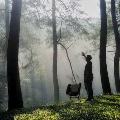 waalhidayat's profile picture. 