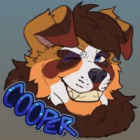 🧡Cooper🧡 (@chubbyguy26) 's Twitter Profile
