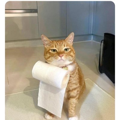 not in useさんのプロフィール画像
