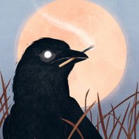 Bird Friend (@rusticbird777) 's Twitter Profile