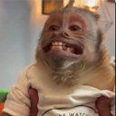 César Salgado - @CsarSalgado11 - Twitter