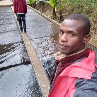 KenMune19277483's profile picture. 