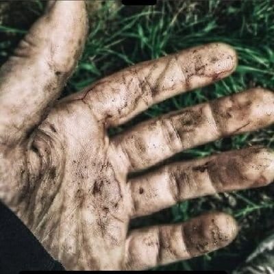 fakeEARinjury's profile picture. 