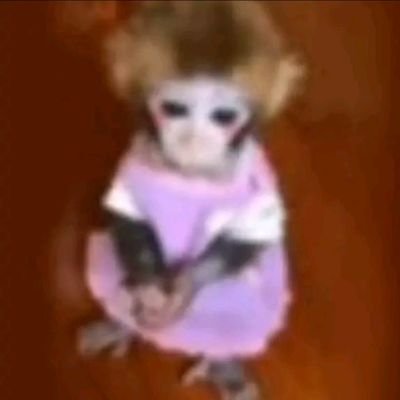 vitoriaranguett's profile picture. 