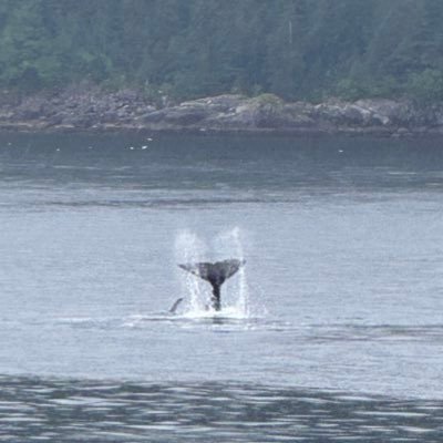 _hsrah's profile picture. Ehhhh