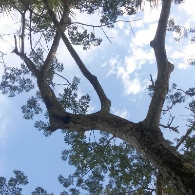 Rafarafa202020's profile picture. 