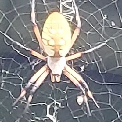watchgame122's profile picture. 
