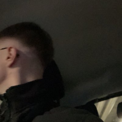 loevannbrsd's profile picture. 