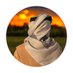 مــطـر🇸🇾 (@n_9wj) Twitter profile photo مــطـر🇸🇾 (@n_9wj) Twitter profile photo
