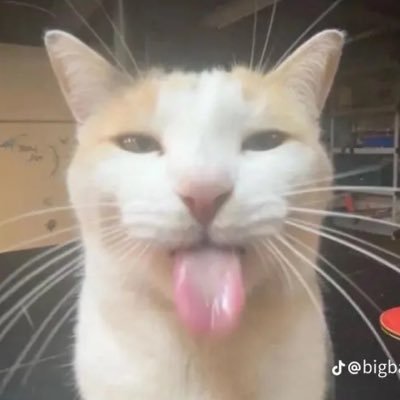 d1Joffy's profile picture. Div 1, 5.4k pr