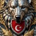Enver Vergil (@enveromar38) Twitter profile photo Enver Vergil (@enveromar38) Twitter profile photo