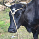 Marc Duplan - @massabiel04 - Twitter