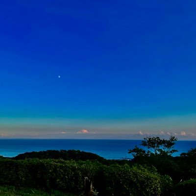 神奈川県真ん中辺りに在住。 時々近場で鳥見📷 主に静かに観覧ですが、時々呟きます。共感時(良き!、確認しました!、感謝!)は❤️をポチッとします😆 無言フォローお許しください 。