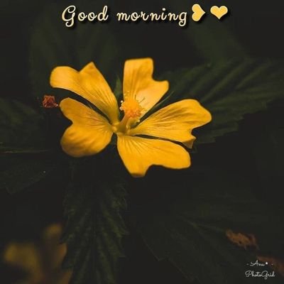 vk_deva's profile picture. 