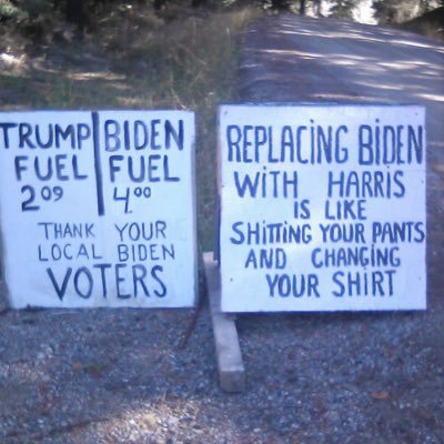 JasonT0293's profile picture. 