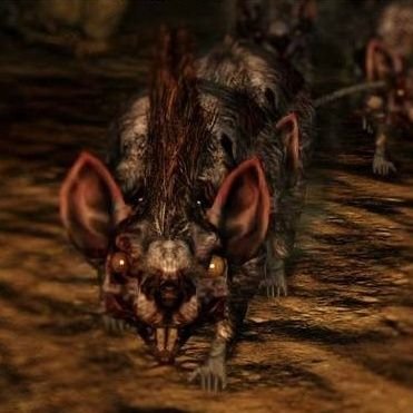 skwov13's profile picture. 