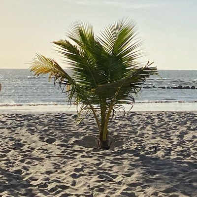 me_chamo_laura's profile picture. Prefiro ser, essa metamorfose ambulante ..