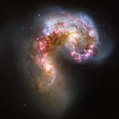TheNovaRemnant's profile picture. 