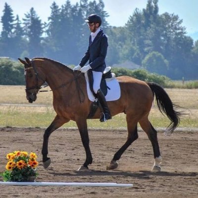Ex Dressage Competitor. I'm here to talk about pickleball, VHS, fishing, and horses.